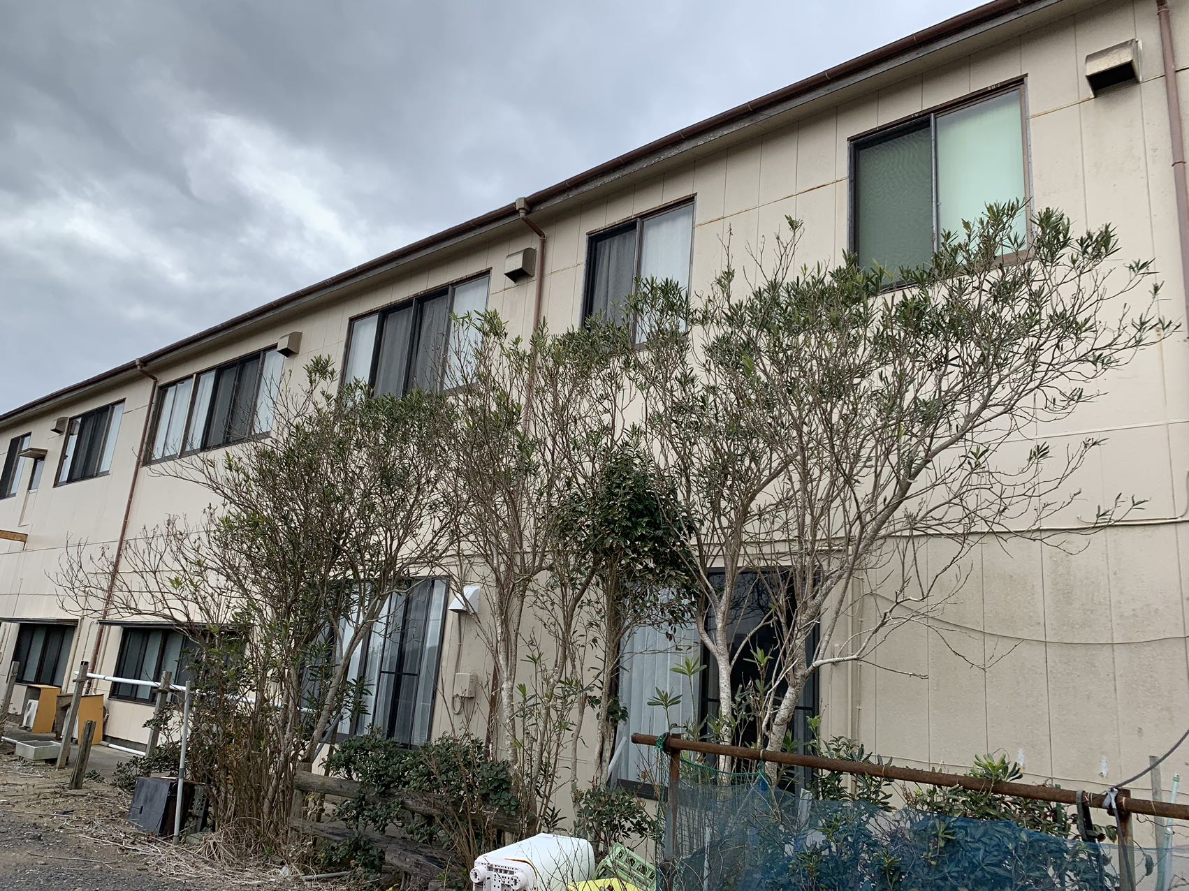 Weixin Image_20240525173127.jpg